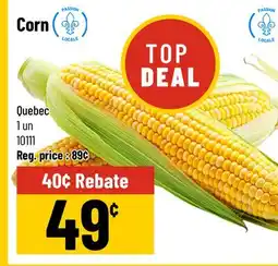 Mayrand Corn offer