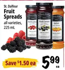 Farm Boy St. Dalfour Fruit Spreads offer