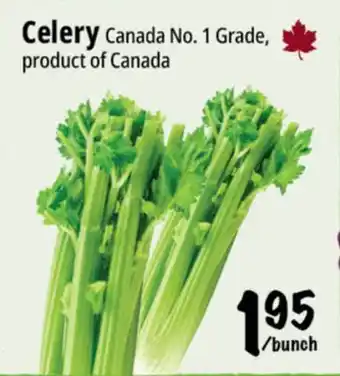 Farm Boy Celery offer