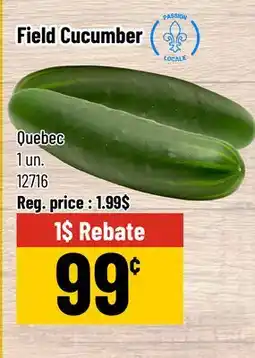 Mayrand Field Cucumber offer