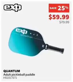 Sports Experts EXP QUANTUM Adult pickleball paddle offer
