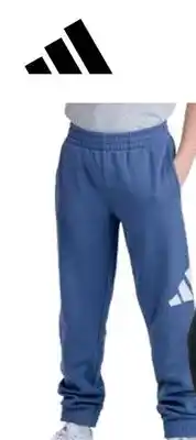 Sports Experts Boys' fleece pants offer