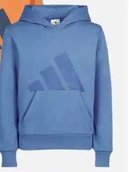 Sports Experts ESSENTIALS BIG LOGO Junior Fleece Hoodie offer