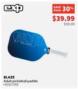 Sports Experts EXP BLAZE Adult pickleball paddle offer
