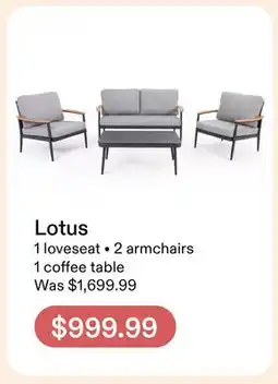 Club Piscine Lotus offer