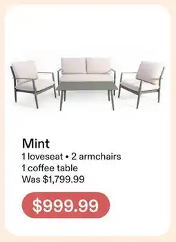 Club Piscine Mint offer