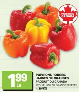 L'Intermarché POIVRONS ROUGES, JAUNES OU ORANGES | RED, YELLOW OR ORANGE PEPPERS, 4,39/KG offer
