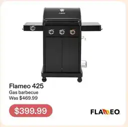 Club Piscine Flameo 425 offer