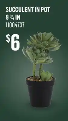 Canac ASTELLA Artificial Succulent Plant in Pot offer