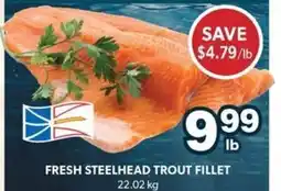 Colemans Fresh steelhead trout fillet offer