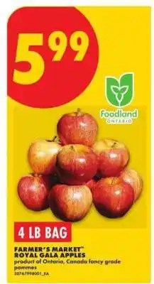 No Frills Farmer's Market Royal Gala Apples offer
