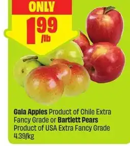 FreshCo Gala Apples or Barlett Pears offer