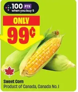 FreshCo Sweet Corn offer