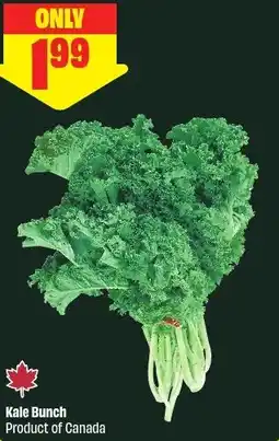 FreshCo Kale Bunch offer