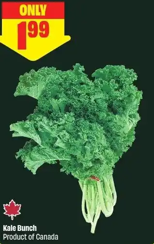FreshCo Kale Bunch offer