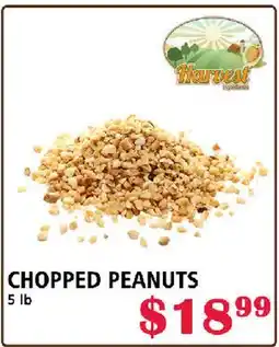 MVR Cash & Carry CHOPPED PEANUTS offer