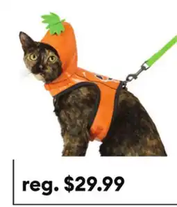 Petsmart Thrills & Chills Halloween Pumpkin Dog Costume Harness offer
