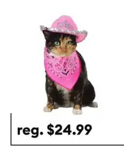 Petsmart Thrills & Chills Pink Cowboy Hat & Bandana Dog & Cat Set offer