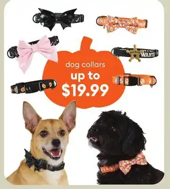 Petsmart dog collars offer
