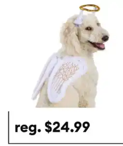 Petsmart Thrills & Chills Angel Halo Wings Dog & Cat Costume Set offer