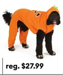 Petsmart Thrills & Chills Pumpkin Dog & Cat Sweatsuit offer