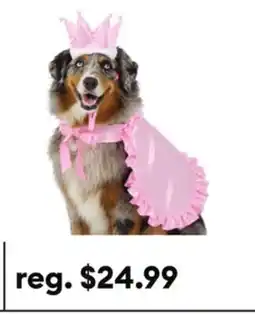 Petsmart Thrills & Chills Princess Dog & Cat Costume Set offer