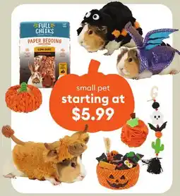 Petsmart small pet offer