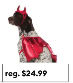 Petsmart Thrills & Chills Devil Dog & Cat Costume Set offer