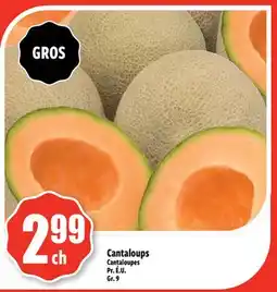 Bonanza Cantaloups offer