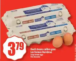 Bonanza Large brown eggs offer