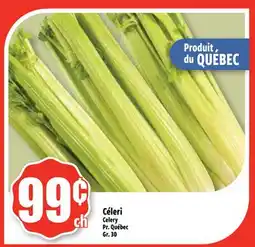Bonanza Céleri offer