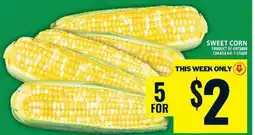 Food Basics SWEET CORN offer
