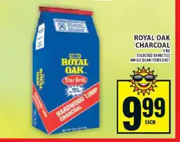 Food Basics Royal Oak Charcoal offer