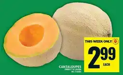 Food Basics Cantaloupes offer