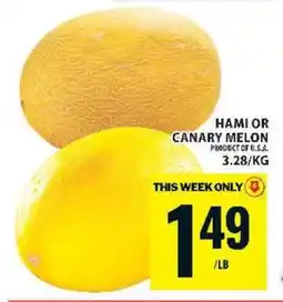 Food Basics Hami or Canary Melon offer