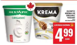 Food Basics Olympic Krema or Organic Yogurt offer
