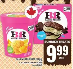 Food Basics Baskin Robbins Ice Cream / Ice Cream Sandwiches offer