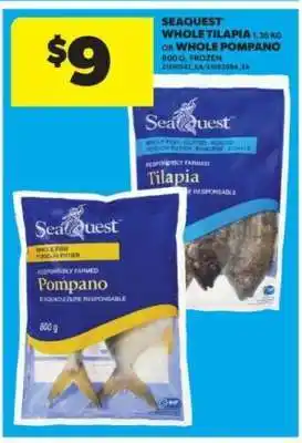 Real Canadian Superstore Seaquest Whole Tilapia or Whole Pompano offer