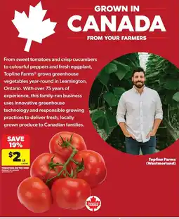 Real Canadian Superstore Tomatoes on the vine offer
