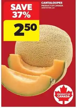 Real Canadian Superstore Cantaloupes offer