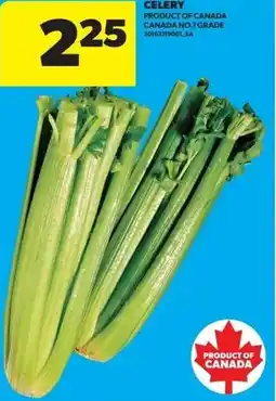 Real Canadian Superstore Celery offer