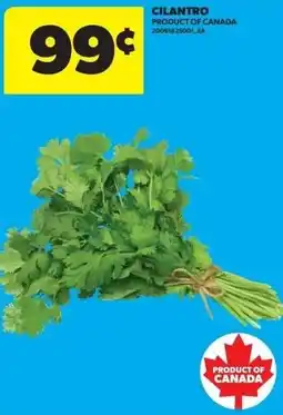 Real Canadian Superstore Cilantro offer