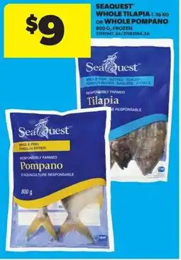 Real Canadian Superstore Sea quest whole tilapia or whole pompang offer