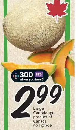 Sobeys Large Cantaloupe offer