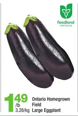 Highland Farms Ontario Homegrown Field Large Eggplant offer