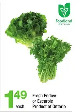 Highland Farms Fresh Endive or Escarole offer