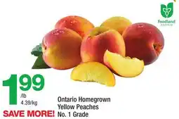 Highland Farms Ontario Homegrown Yellow Peaches offer