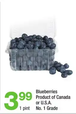 Highland Farms Blueberries offer