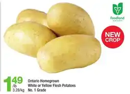 Highland Farms Ontario Homegrown White or Yellow Flesh Potatoes offer