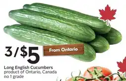 Sobeys Long English Cucumbers offer